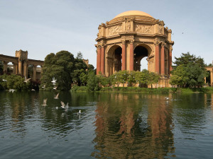 Palace of Fine Arts with Birds