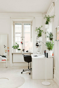 White Office with Plants