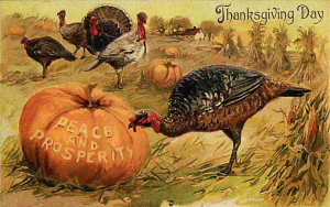 Thanksgiving 1908 Turkeys and Pumpkin