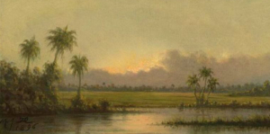 Palm Trees Florida Heade