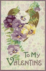 To My Valentine Pansies