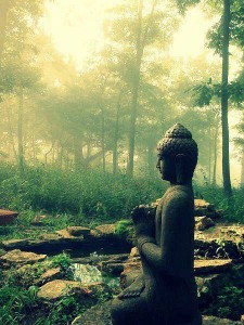 Buddha in Sunlit Garden